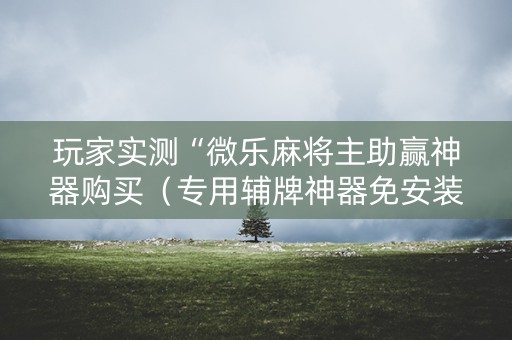 玩家实测“微乐麻将主助赢神器购买（专用辅牌神器免安装）