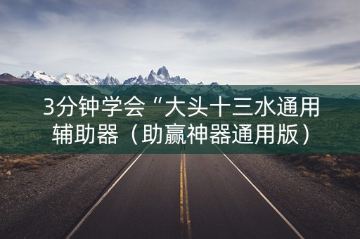 3分钟学会“大头十三水通用辅助器（助赢神器通用版）