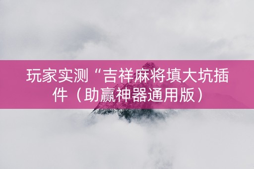 玩家实测“吉祥麻将填大坑插件（助赢神器通用版）
