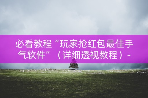 必看教程“玩家抢红包最佳手气软件”（详细透视教程）-哔哩哔哩