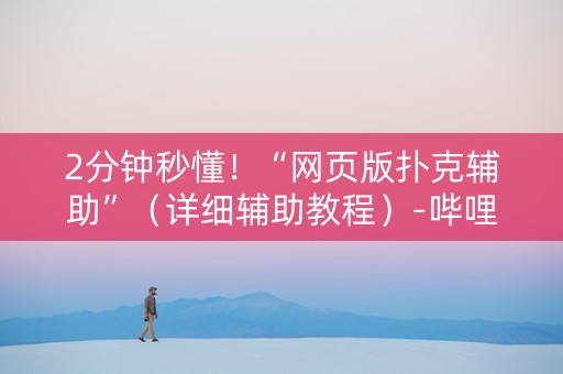 2分钟秒懂！“网页版扑克辅助”（详细辅助教程）-哔哩哔哩