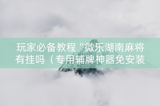 玩家必备教程“微乐湖南麻将有挂吗（专用辅牌神器免安装）