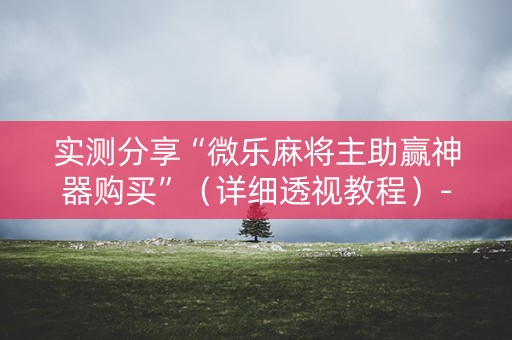 实测分享“微乐麻将主助赢神器购买”（详细透视教程）-哔哩哔哩