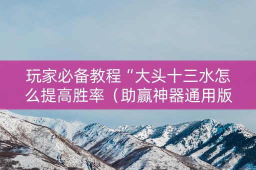 玩家必备教程“大头十三水怎么提高胜率（助赢神器通用版）
