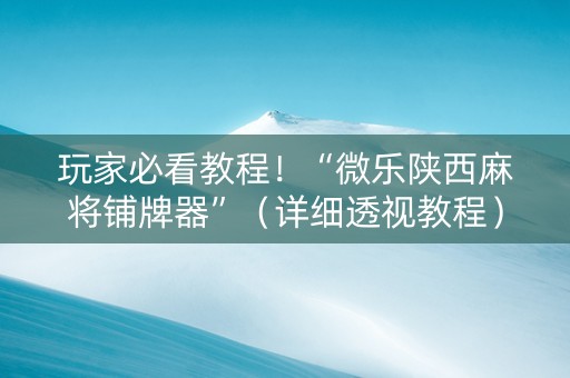 玩家必看教程！“微乐陕西麻将铺牌器”（详细透视教程）-哔哩哔哩