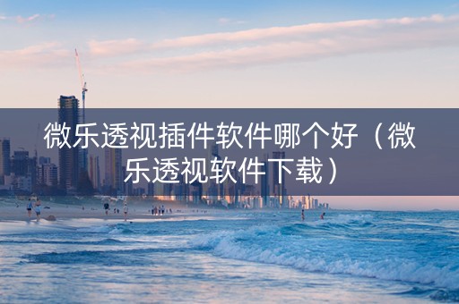 微乐透视插件软件哪个好（微乐透视软件下载）