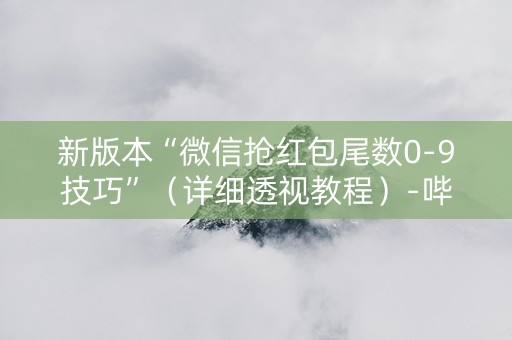 新版本“微信抢红包尾数0-9技巧”（详细透视教程）-哔哩哔哩