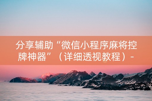 分享辅助“微信小程序麻将控牌神器”（详细透视教程）-哔哩哔哩