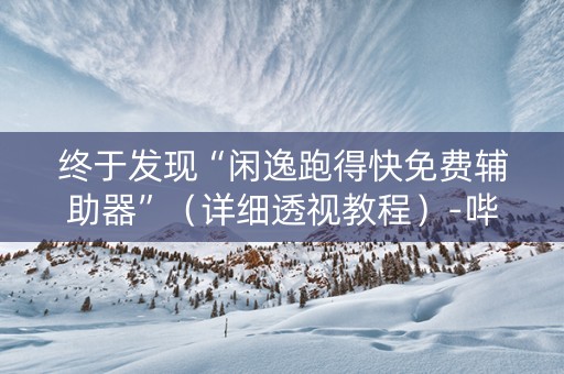 终于发现“闲逸跑得快免费辅助器”（详细透视教程）-哔哩哔哩