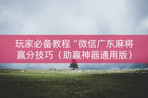 玩家必备教程“微信广东麻将赢分技巧（助赢神器通用版）