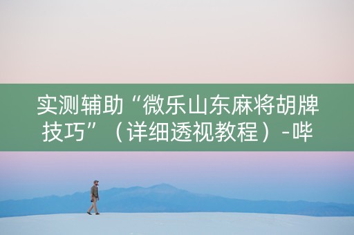 实测辅助“微乐山东麻将胡牌技巧”（详细透视教程）-哔哩哔哩