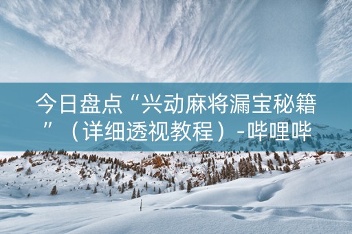 今日盘点“兴动麻将漏宝秘籍”（详细透视教程）-哔哩哔哩