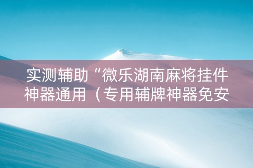 实测辅助“微乐湖南麻将挂件神器通用（专用辅牌神器免安装）