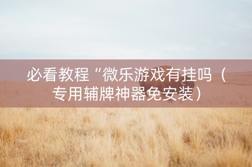 必看教程“微乐游戏有挂吗（专用辅牌神器免安装）