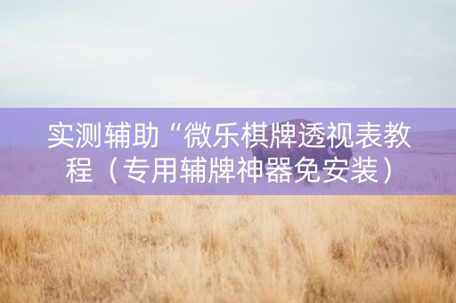 实测辅助“微乐棋牌透视表教程（专用辅牌神器免安装）