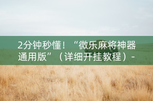 2分钟秒懂！“微乐麻将神器通用版”（详细开挂教程）-哔哩哔哩