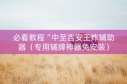 必看教程“中至吉安王炸辅助器（专用辅牌神器免安装）