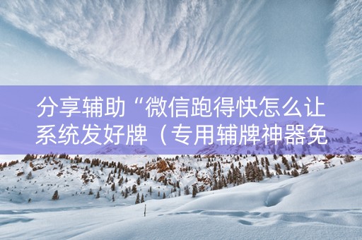 分享辅助“微信跑得快怎么让系统发好牌（专用辅牌神器免安装）