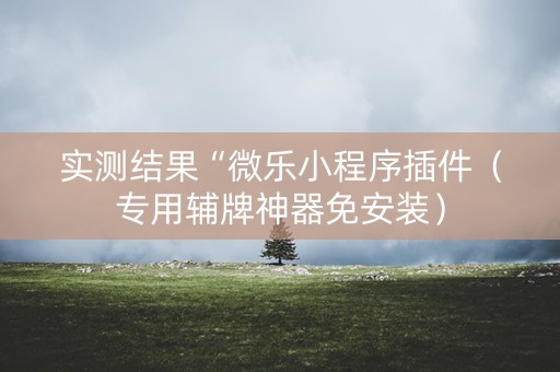 实测结果“微乐小程序插件（专用辅牌神器免安装）