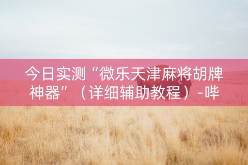 今日实测“微乐天津麻将胡牌神器”（详细辅助教程）-哔哩哔哩