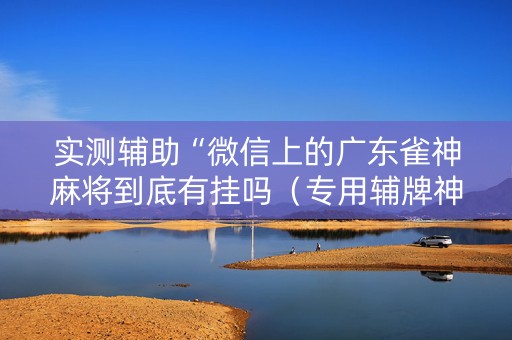 实测辅助“微信上的广东雀神麻将到底有挂吗（专用辅牌神器免安装）