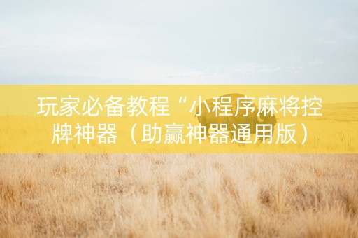 玩家必备教程“小程序麻将控牌神器（助赢神器通用版）