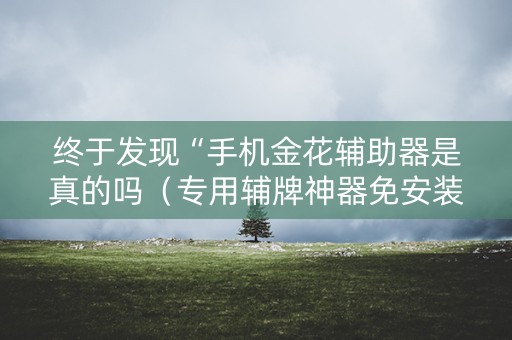 终于发现“手机金花辅助器是真的吗（专用辅牌神器免安装）