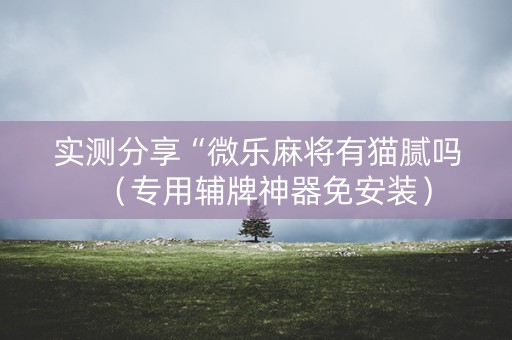 实测分享“微乐麻将有猫腻吗（专用辅牌神器免安装）