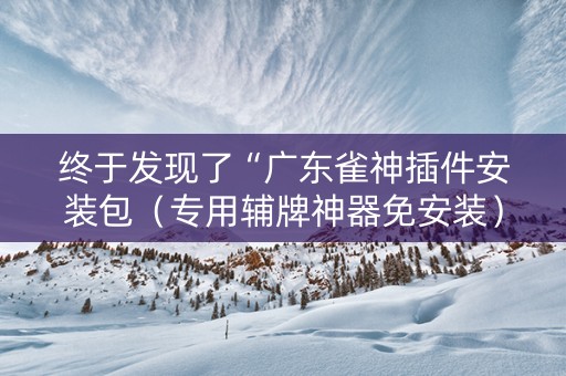 终于发现了“广东雀神插件安装包（专用辅牌神器免安装）