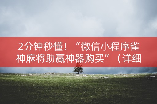 2分钟秒懂！“微信小程序雀神麻将助赢神器购买”（详细透视教程）-哔哩哔哩
