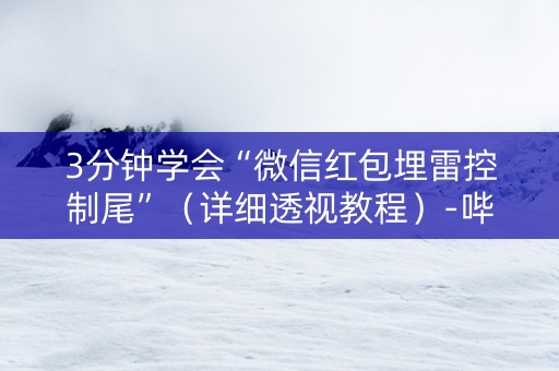3分钟学会“微信红包埋雷控制尾”（详细透视教程）-哔哩哔哩