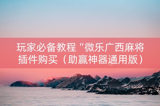 玩家必备教程“微乐广西麻将插件购买（助赢神器通用版）