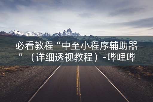 必看教程“中至小程序辅助器”（详细透视教程）-哔哩哔哩