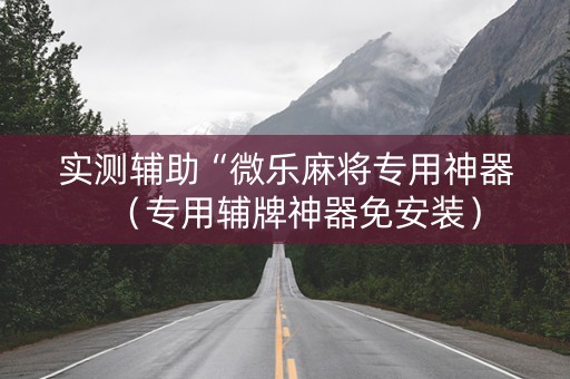 实测辅助“微乐麻将专用神器（专用辅牌神器免安装）