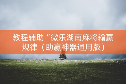 教程辅助“微乐湖南麻将输赢规律（助赢神器通用版）