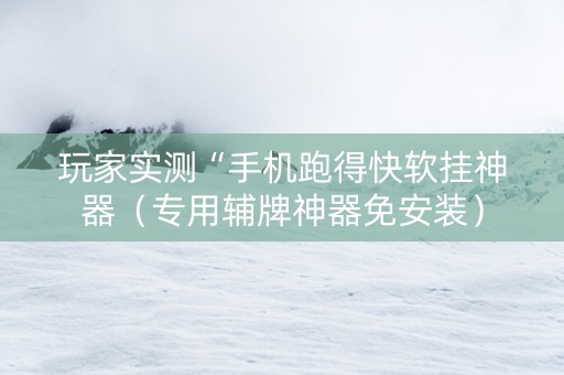 玩家实测“手机跑得快软挂神器（专用辅牌神器免安装）