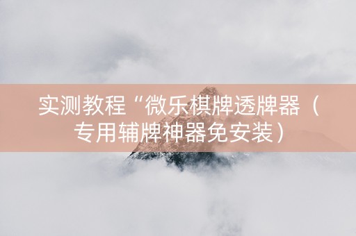 实测教程“微乐棋牌透牌器（专用辅牌神器免安装）