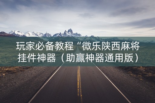 玩家必备教程“微乐陕西麻将挂件神器（助赢神器通用版）