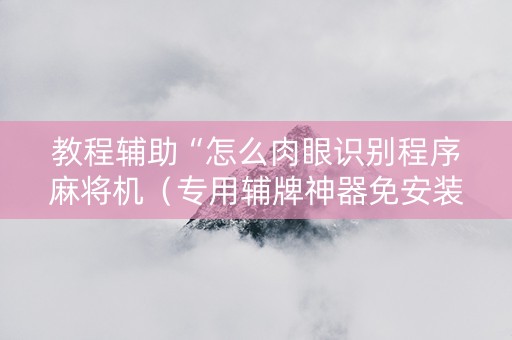 教程辅助“怎么肉眼识别程序麻将机（专用辅牌神器免安装）