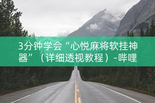 3分钟学会“心悦麻将软挂神器”（详细透视教程）-哔哩哔哩