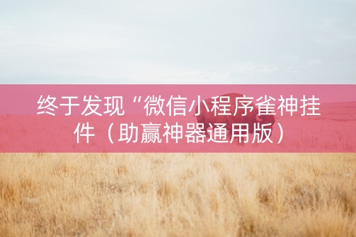 终于发现“微信小程序雀神挂件（助赢神器通用版）