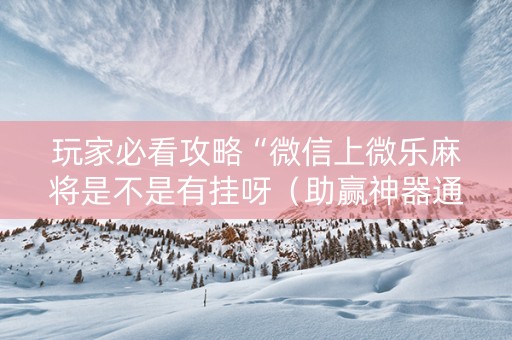 玩家必看攻略“微信上微乐麻将是不是有挂呀（助赢神器通用版）