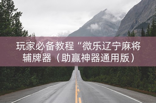 玩家必备教程“微乐辽宁麻将辅牌器（助赢神器通用版）