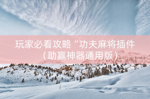 玩家必看攻略“功夫麻将插件（助赢神器通用版）