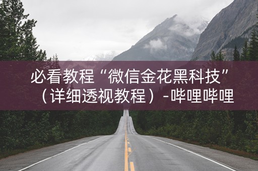 必看教程“微信金花黑科技”（详细透视教程）-哔哩哔哩
