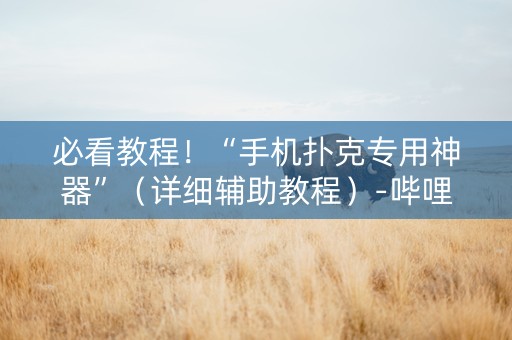 必看教程！“手机扑克专用神器”（详细辅助教程）-哔哩哔哩