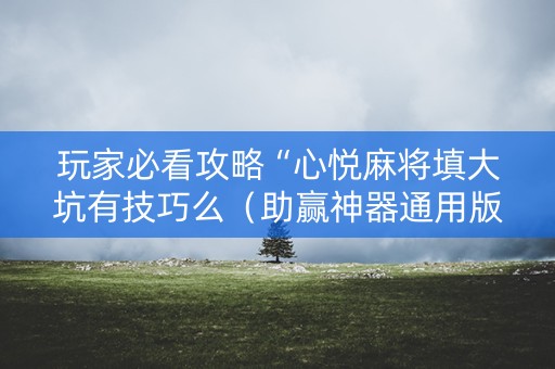 玩家必看攻略“心悦麻将填大坑有技巧么（助赢神器通用版）