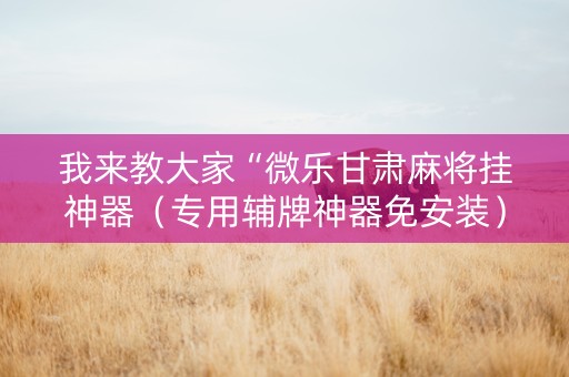 我来教大家“微乐甘肃麻将挂神器（专用辅牌神器免安装）