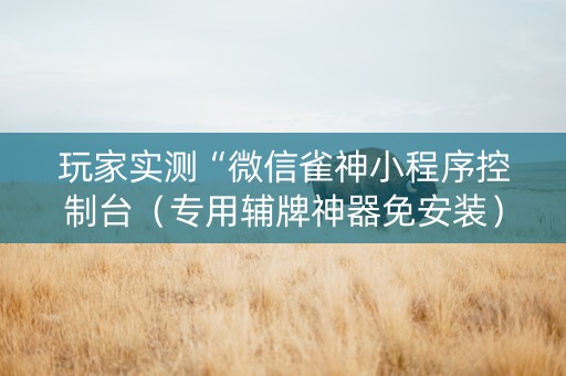玩家实测“微信雀神小程序控制台（专用辅牌神器免安装）