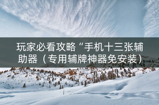 玩家必看攻略“手机十三张辅助器（专用辅牌神器免安装）